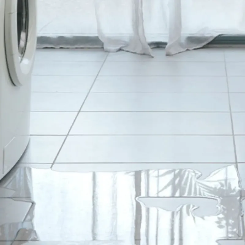 Appliance Leak Cleanup in Transylvania County, NC