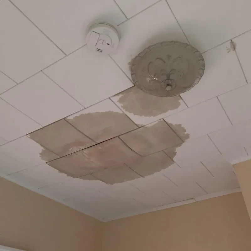 Ceiling Water Damage Repair in Transylvania County, NC