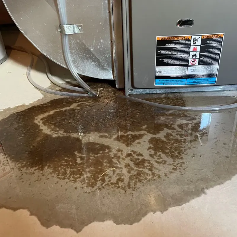Pipe Burst and Leak Restoration in Transylvania County, NC