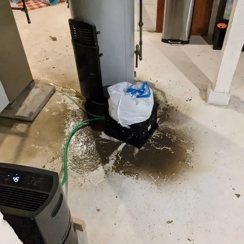 Sewage Backup Cleanup Service in Transylvania County, NC